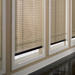 Roller Shades - Window Treatments