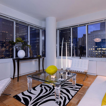 Modern Living Room