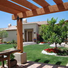 back yard