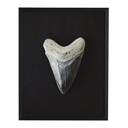 MEGALODON WALL ART &ndash; CENOZOIC - NEW - Artwork