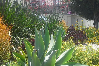 Photo of a contemporary landscaping in Los Angeles.