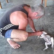 Patrick de Dordogne's photo