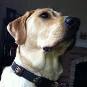 Alison Bynum's photo
