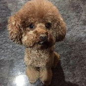 Foto de 賴雅嵐