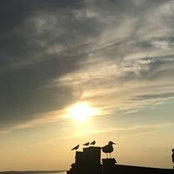 Foto von Thomas Nilsen
