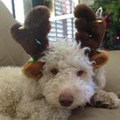 Joann Fong's photo
