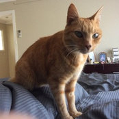 Melissa Carruthers's photo