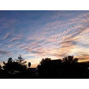 Val Hauptmann's photo