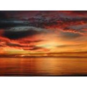 Kimberley Haseman's photo