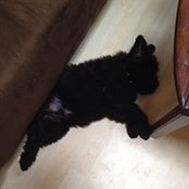 Evelina Calvert's photo