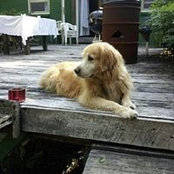 Graham Smith's photo