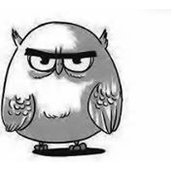 Aya Gamal's photo