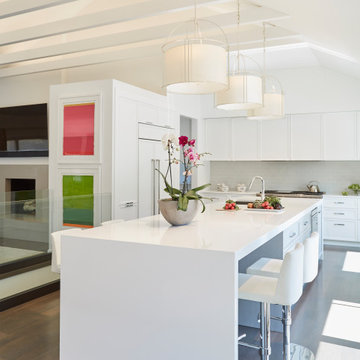 Modern White Kitchen in Wilmette, IL