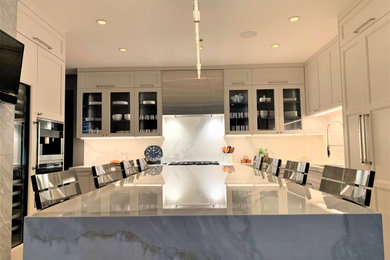 Kitchen - transitional kitchen idea in Chicago