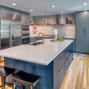 Oakton Transitional Kitchen Remodel
