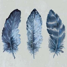 Prints for wall