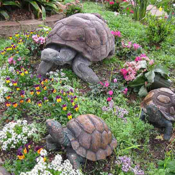 Patio Landscape