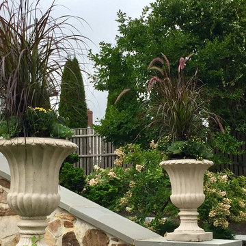 Planters & WIndow Boxes