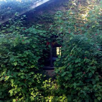 Provence in Ojai