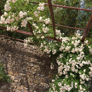 Création de jardin