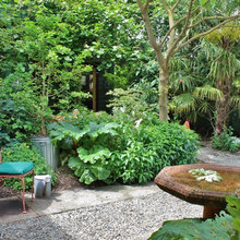 Back yards