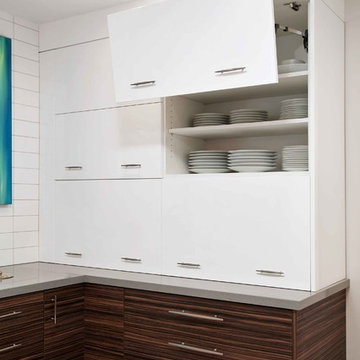 Mid-Century Modern Rendition