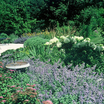 A mixed border in mid-summer