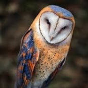 Jeannie Walter's photo