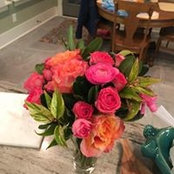 Marty Ross's photo