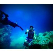 Karim Hazem's photo