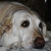 JoDee McNair's photo