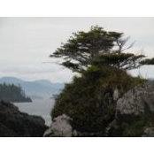 Keith Crossley's photo