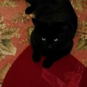 Nina Mear's photo