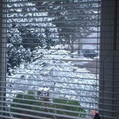 Barbara Paschke's photo