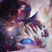 Nadia Zink's photo