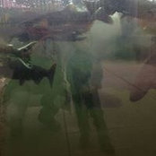 Joshua Allen's photo