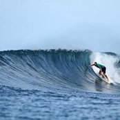 Tom Cleghorn's photo