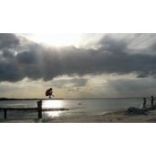Jaime Dominguez's photo