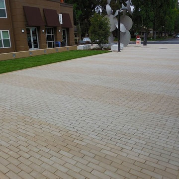 Paragon in Fremont