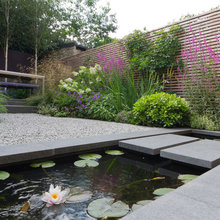 Backyard Landscaping