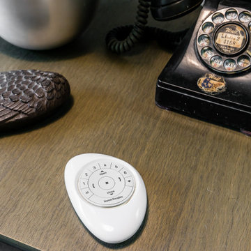 Pebble Remote for Pirouette Window Shadings with PowerView®