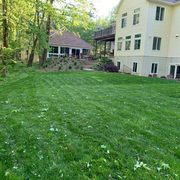 Before and after, seeding