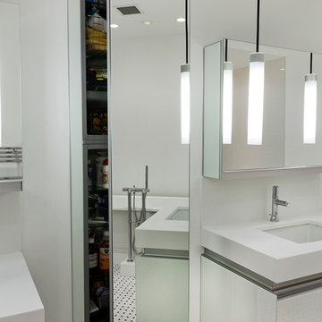 Modern St. Paul Bathroom