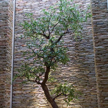 Davidson Atrium Tree