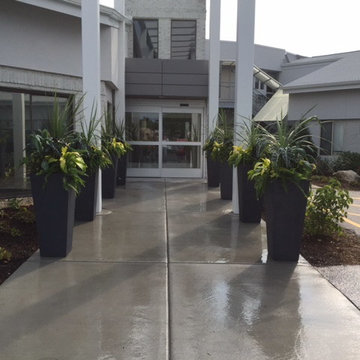 Faro Planters in Illinois