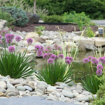 Stream and Koi Pond