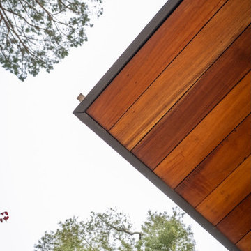 Eves and Tree Canopy
