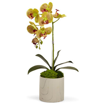 Single Orchid in Marble, Green