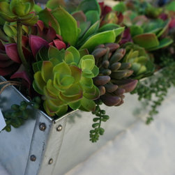 Custom Succulent Boxes/ Wood Trough - Tabletop