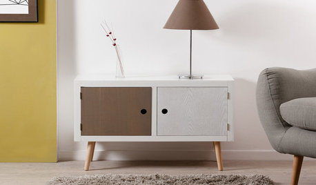 Budget-Friendly Furniture